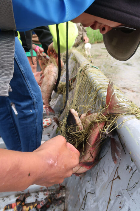 Seine fishing at Culture Camp.