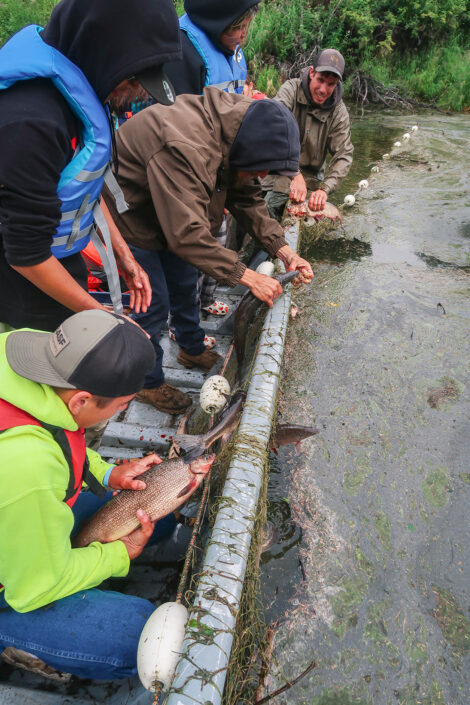 Seine fishing at Culture Camp.