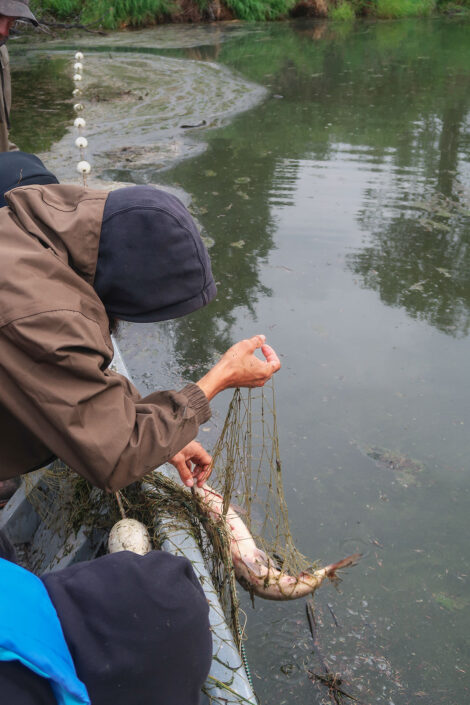 Seine fishing at Culture Camp.