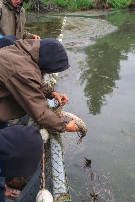 Seine fishing at Culture Camp.